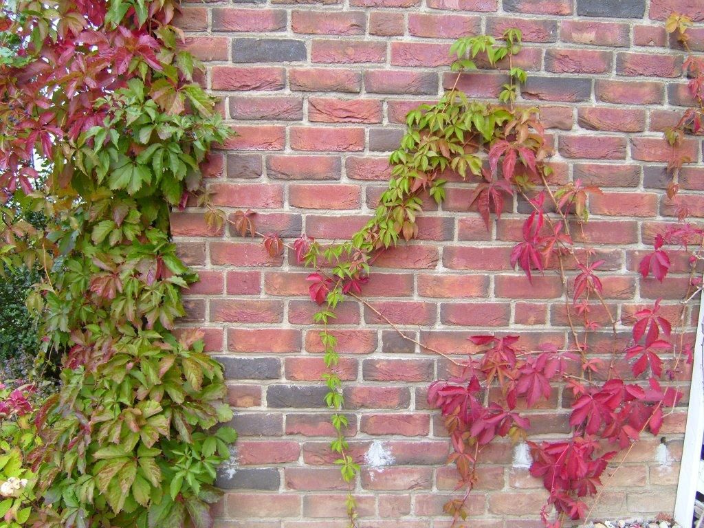 BRICK PRODUCTION PROCESS JANUARY 2024